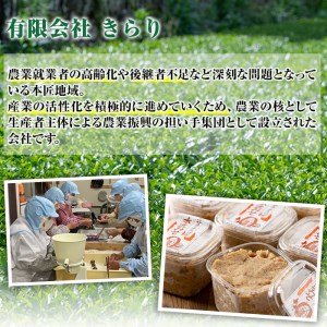 釜炒り茶 因尾茶 (計300g・100g×3袋) お茶 緑茶 茶 茶葉 釜炒り 特産品 お取り寄せ 大分県 佐伯市【AH69】【きらり】