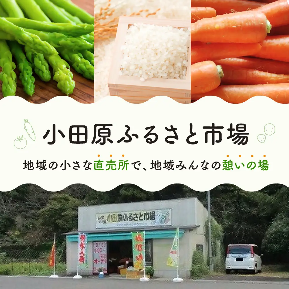PA-02 【定期便：6ヶ月連続お届け】【無洗米】米4合(真空パック)×25袋×6回