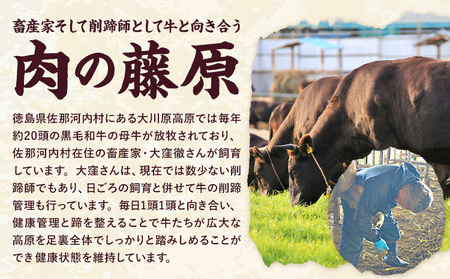大川原高原牛 赤身切り落とし 750g | 牛肉