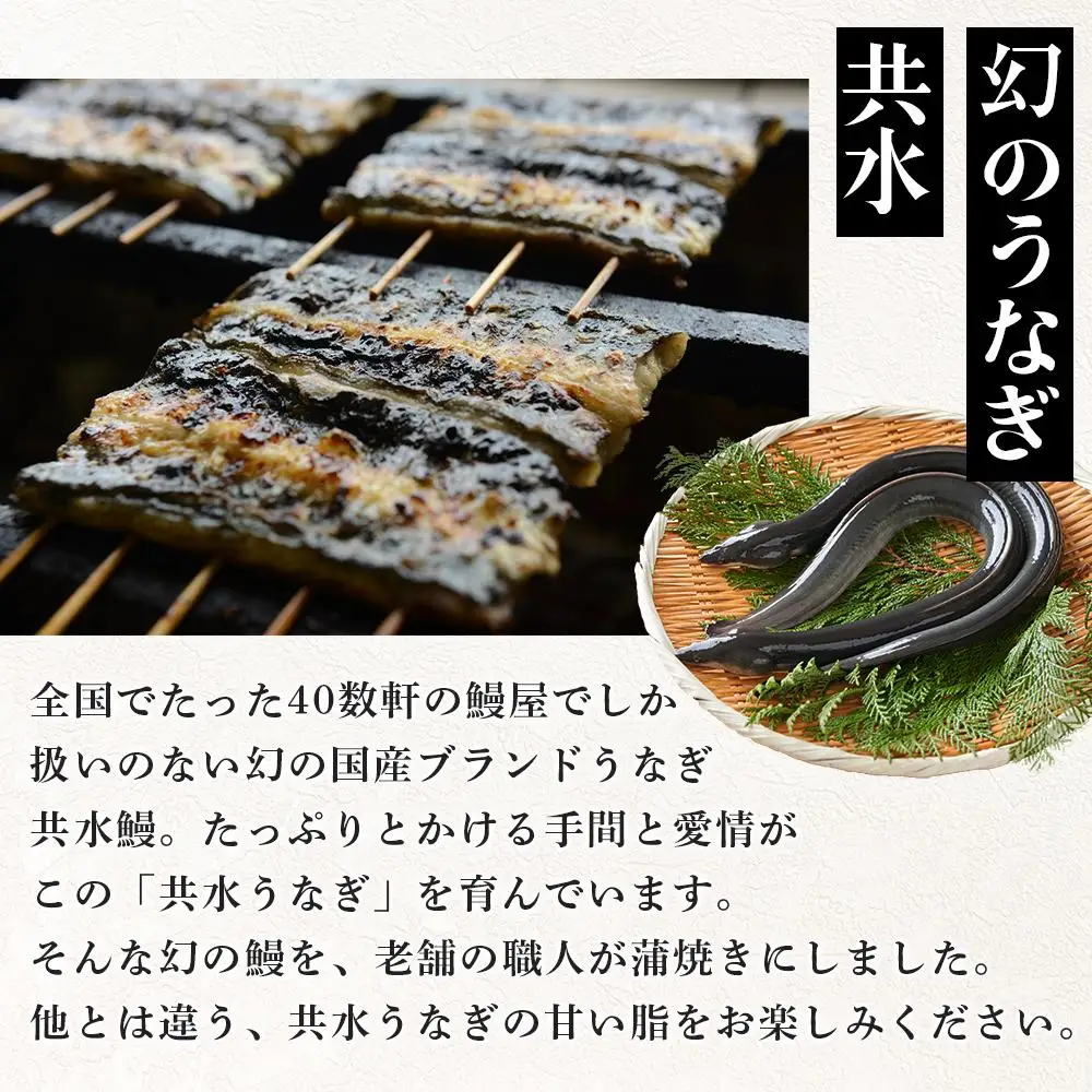 幻の国産ブランド鰻　共水うなぎのかば焼き　3串（約115g×3）タレ・山椒付き　極上の甘みとうまみ、ふっくらとした食感【鰻 魚介類 水産 食品 人気 おすすめ 】