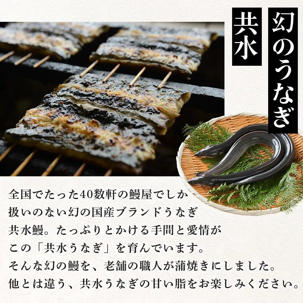 幻の国産ブランド鰻　共水うなぎのかば焼き　5串（約115g×5）タレ・山椒付き　極上の甘みとうまみ、ふっくらとした食感【鰻 魚介類 水産 食品 人気 おすすめ 】