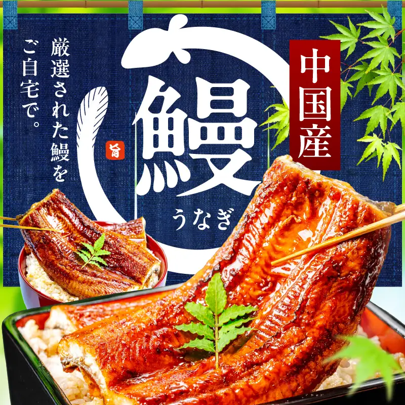 うなぎ蒲焼 合計480g