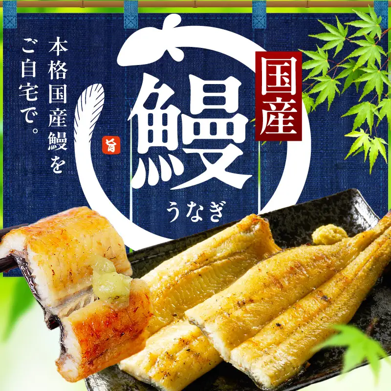 【白醤油焼き】国産うなぎ 合計800g