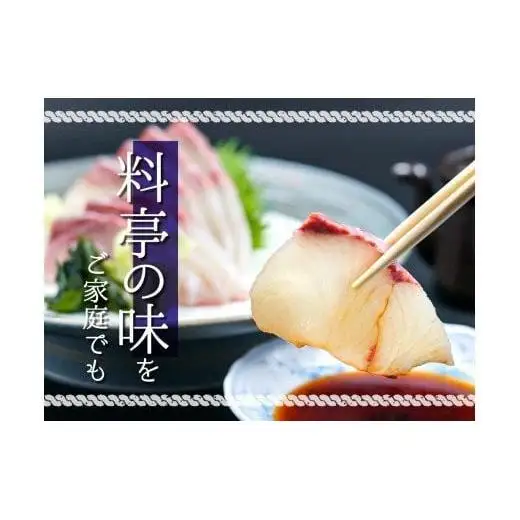 【 カンパチ 】 カンパチ須崎勘八 1尾