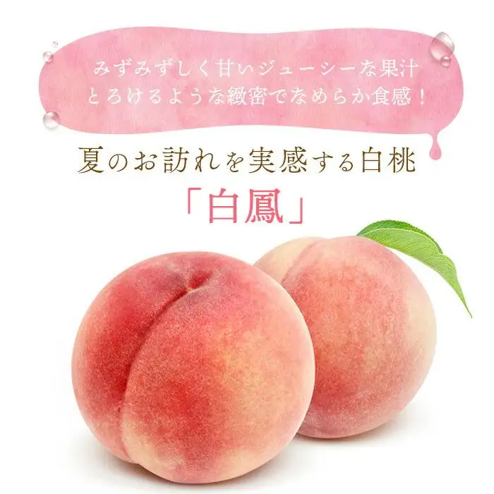 和歌山県産 白鳳 桃 11～16玉入り 訳あり ご家庭用 数量限定［2027年6月下旬以降発送］［MG91］