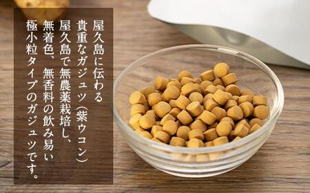 純・自然派　屋久島産ガジュツ　粒×２個