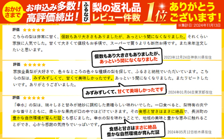くまもと梨 約3.5kg 梨 熊本県産