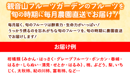 フルーツ頒布会「旬宴」-竹 全10回お届け 4人～5人用 有限会社柑香園 定期便