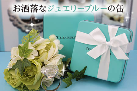 チャンククッキー詰め合わせ 缶入り ステラリュヌ特製 焼き菓子 STELLALUNE＆Co [2896]