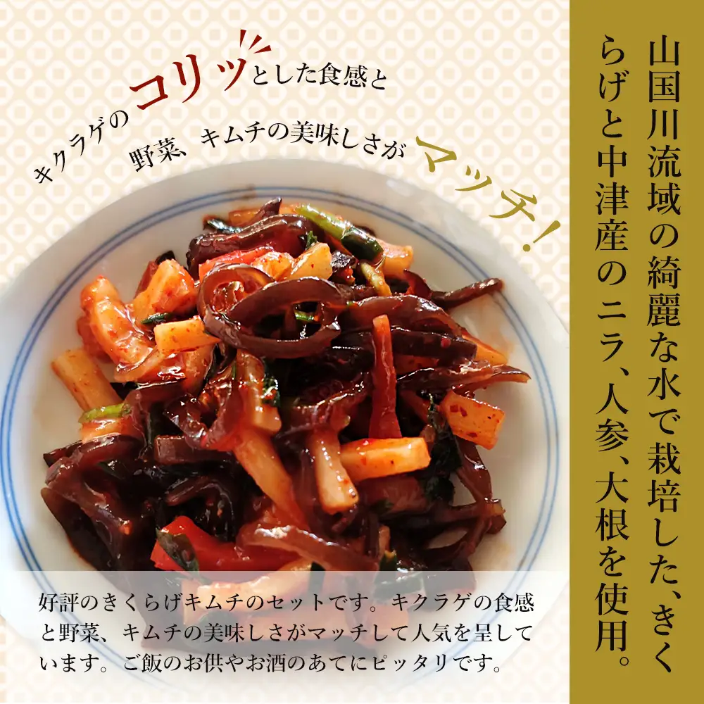 【数量限定】 きくらげキムチ 150g×2個セット | きくらげ キムチ 木耳 おつまみ 佃煮 ご飯のお供 惣菜 旨辛 ピリ辛 おかず 簡単おかず 常備菜 野菜 発酵食品 大分県 中津市