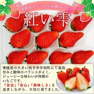 西予市宇和町産 谷口農園のいちご（紅い雫）8パック OFA0002