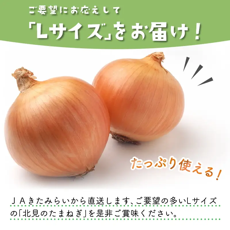 【予約：2026年10月中旬から順次発送】JAきたみらいから直送する甘くて美味しい新鮮玉ねぎ 20kg Lサイズ ( たまねぎ 野菜 北海道 玉葱 )【104-0008-2026】