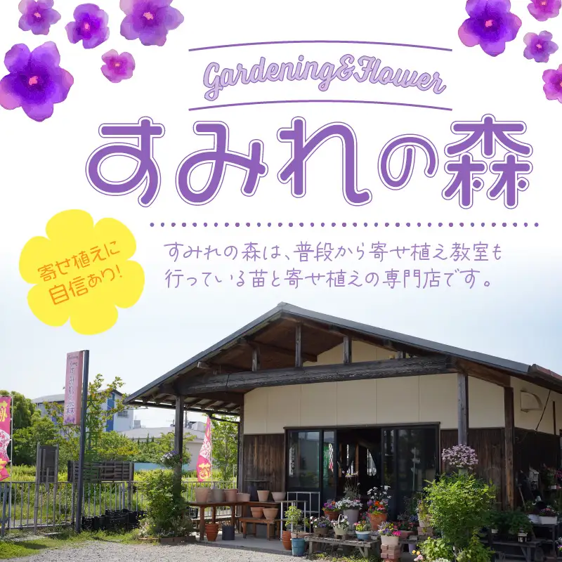 季節の花の寄せ植え 20cm鉢【005E-002】