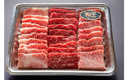 FKK19-533_熊本和王 厳選焼肉食べ比べセット 450g 熊本県 嘉島町