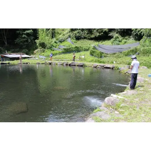 ルアー・フライフィッシング1日チケット（2名様）【023-004】｜魚 さかな つり ニジマス ヤマメ イワナ 渓流 川