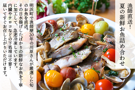 ＜漁師直送 夏の新鮮お魚詰め合わせ 8種以上＞ 魚 詰め合わせ 海鮮 海産物 海鮮セット イサキ 処理済み 麹漬け 明浜産 二ノ宮商事株式会社 愛媛県 西予市【冷凍】『2026年4月～9月末迄に順次出荷予定』ANS0012