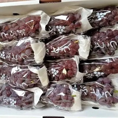 ぶどう（デラウェア）２ｋｇ　0142-2602