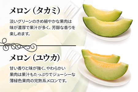 【先行予約】メロン [タカミ] [ユウカ] 2玉セット｜舐瓜 [0837]