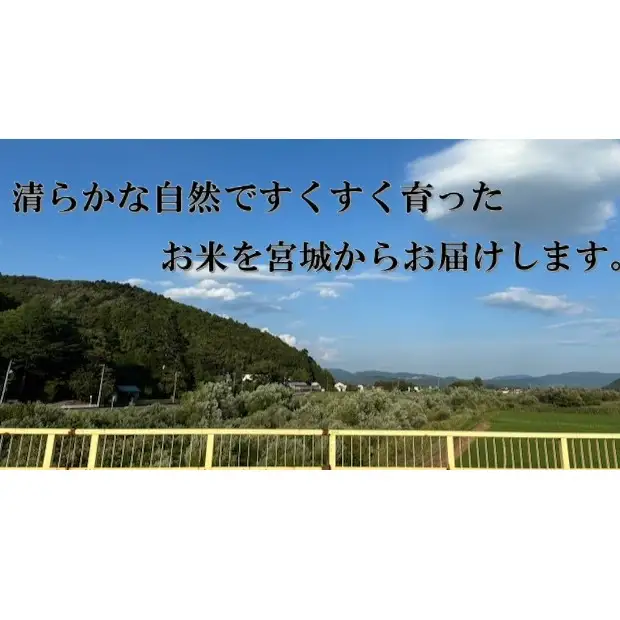 米 つや姫 令和7年産 精米 10kg 宮城県産 石巻市 こめ コメ お米 ツヤ姫 ご飯 ごはん 主食 おにぎり 美味しい 甘み 旨み