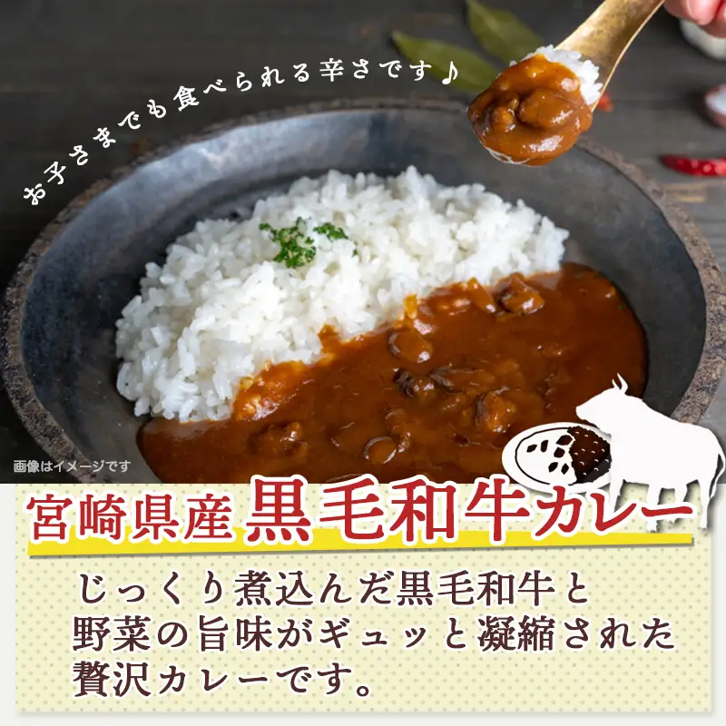 みやざきカレー3種セット※ポスト投函〔LB-15-002〕_(都城市) レトルトカレー 湯煎調理 アウトドア 食べ比べ 1人暮らし ポスト投函