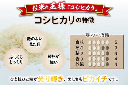 【令和5年産】【3ヶ月定期便】福井県大野市産 JGAP認証 コシヒカリ「あかね」5kg（2.5kg×2）小分け [A-007003]