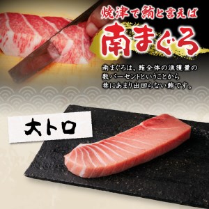 【定期便 10回】天然南鮪1本分(約2kg) (b650-003)
