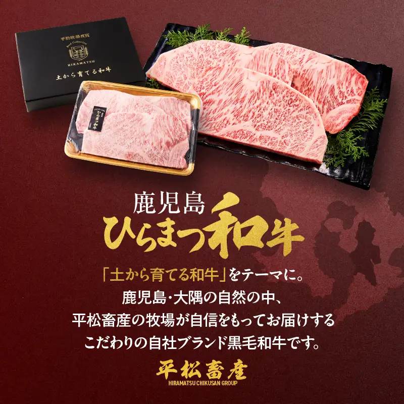 鹿児島 ひらまつ 和牛 サーロインステーキ 200g×3枚 KN020-003 肉 牛肉 冷凍
