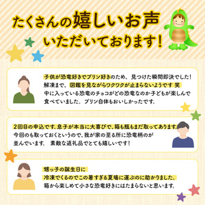 恐竜発掘プリン 特製ギフトボックス（6個入り）冷凍　プリン 図鑑付　B-026032
