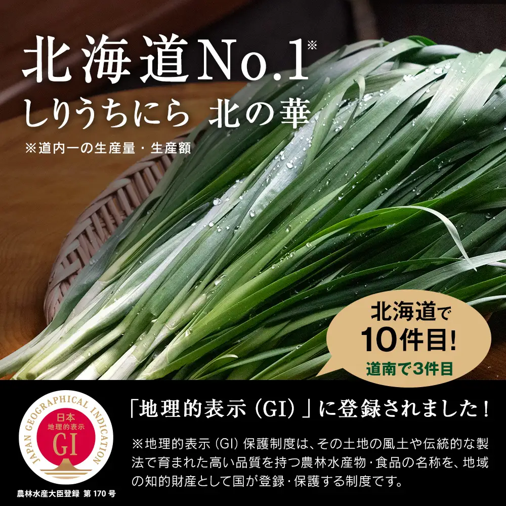 【2027年発送予約】 しりうちにら北の華 20束【JA新はこだて】