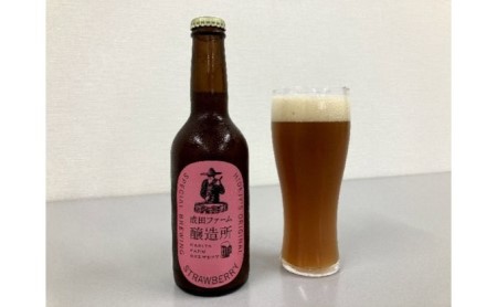 クラフトビール3本セット お酒 地ビール 330ml 