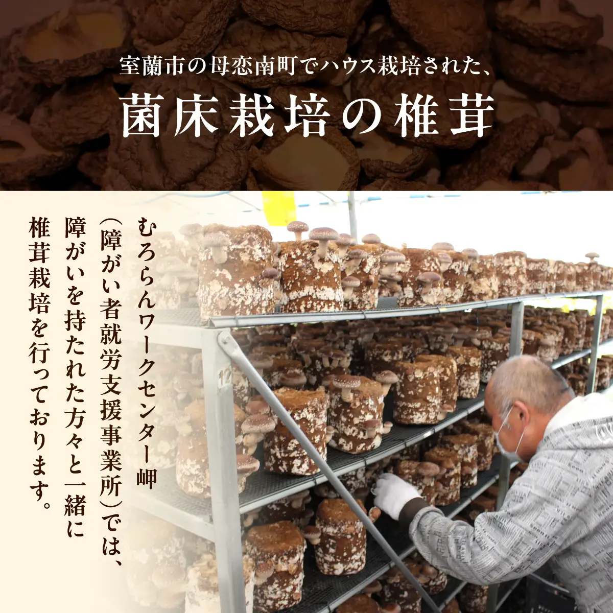 乾燥椎茸（どんこ）110g×2箱 MROBD001