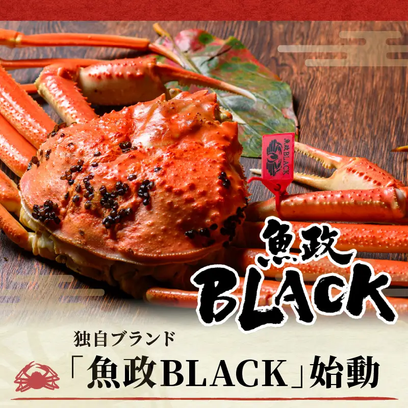 【蟹の匠 魚政】茹で　プレミアムズワイガニ 魚政BLACK（松葉ガニ・越前ガニ）特撰 特大サイズ（1200～1300g） 1匹(11月～12月発送)  蟹