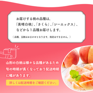 令和8年産 先行予約 有機質肥料栽培 硬めの 白桃  2kg（5～9玉） 秀品 品種おまかせ 山形県産 【2026年8月下旬頃～10月上旬頃発送予定】　012-B-AF008