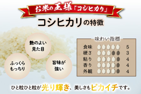 【令和5年産】【12ヶ月定期便】福井県大野市産 JGAP認証 コシヒカリ「あかね」10kg [K-007001]