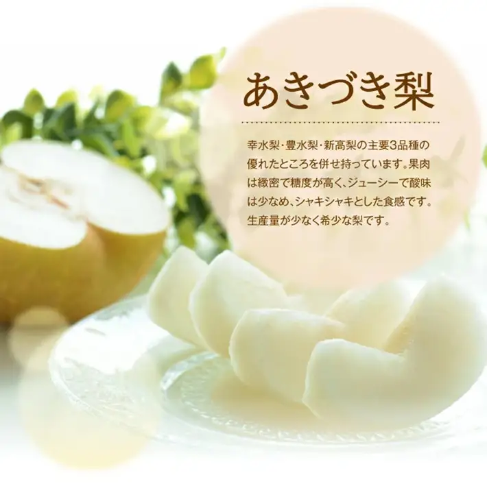 SA3036　酒田産【特選】あきづき梨　約3kg(6～9玉入)