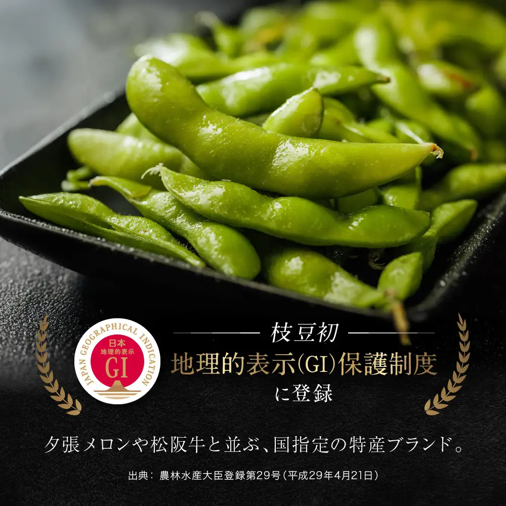 先行予約【新潟県産】くろさき茶豆　【１.５ｋｇ】　2026年8月～順次発送　新潟　新潟県　枝豆　えだまめ　茶豆　おつまみ　お取り寄せ　グルメ　1.5kg　豆