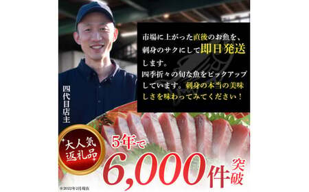 大将のおまかせ刺身2～3種類盛 ／Efs-01 刺身 鮮魚 冷蔵  即日発送