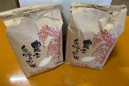 【令和8年産】米 ななつぼし 10kg お米 サスケの家 農家自慢のお米