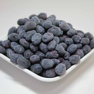 【北海道の果実】江別産ハスカップ（冷凍）500g×2パック EB8-0217