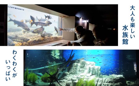 【サケのふるさと 千歳水族館】年間パスポート（大人1枚/Aデザイン）