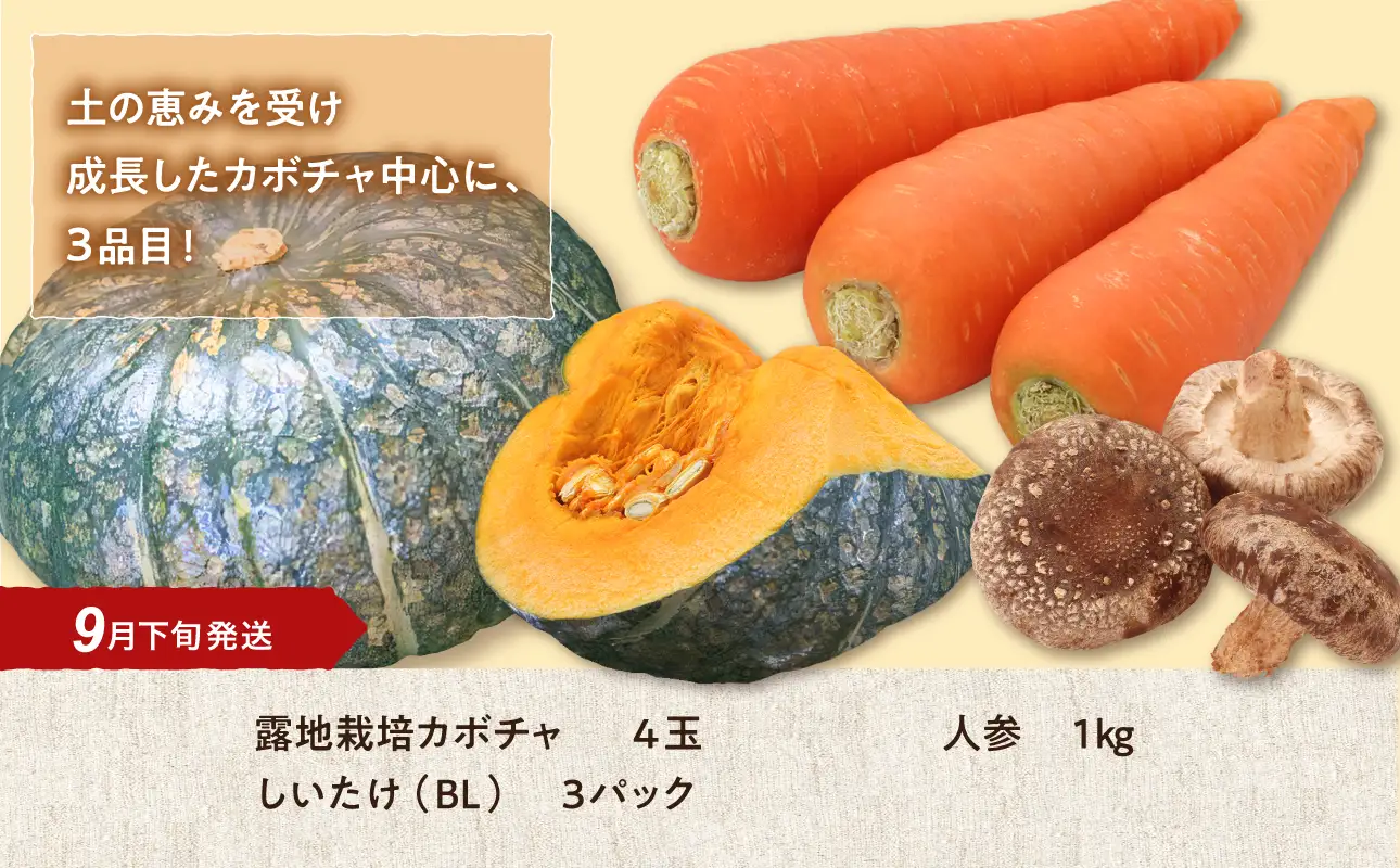 【9月下旬発送】旬の採れたて野菜「カボチャセット」