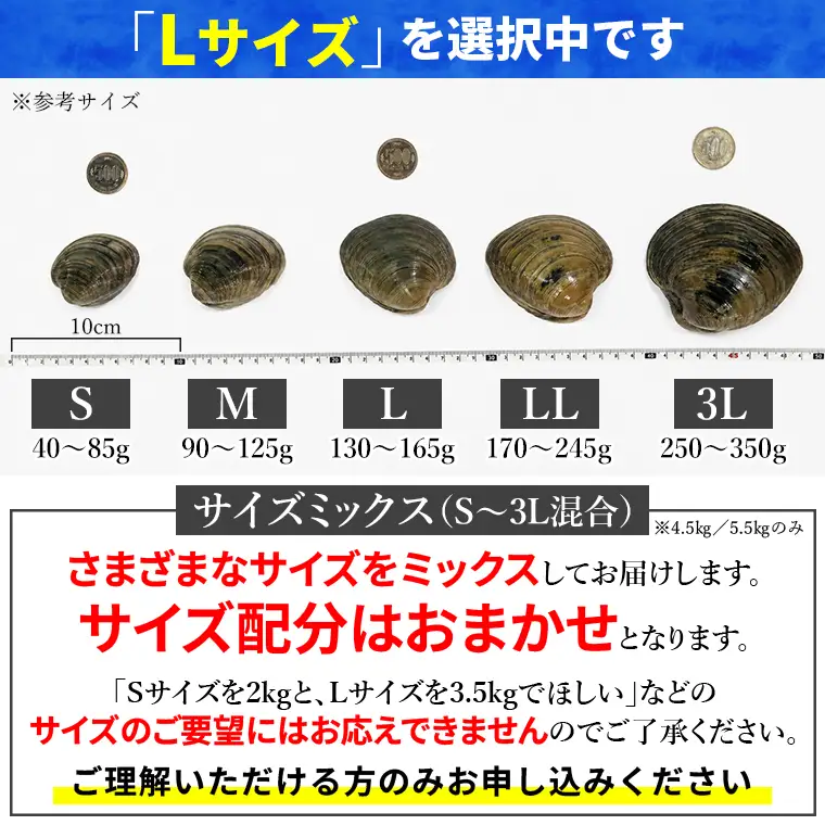 漁師直送！活ホンビノス貝4.5kg（Lサイズ）