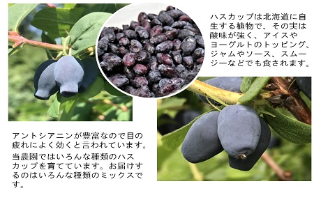 北海道特産の果実ハスカップ、業務用(訳あり)１ｋｇ 1354