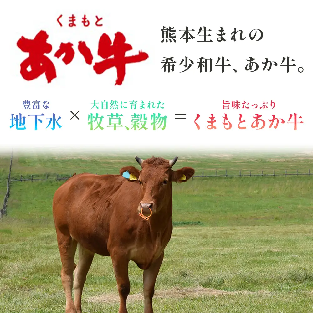 くまもとあか牛 切り落とし 約800g 【 くまもとあか牛 熊本県産あか牛 あか牛切り落とし 赤牛切り落とし 切り落とし 切落し 褐色和牛 和牛切落し 冷凍 あか牛 和牛 牛肉 赤身肉 お肉 切り落し 柔らかい 肉 国産 九州産 熊本県 多良木町 【美味しいあか牛を切落しで】こだわりのあか牛 あか牛切り落し 】 073-0408