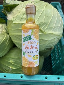 みはまのみかんドレッシング（2本入り）◆｜調味料 ミカン 蜜柑 柑橘