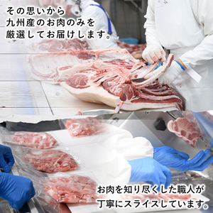 ＜定期便・全3回＞豚肉ウデモモ切り落とし(計6kg・1パック250g) 小分け 国産 豚肉 豚小間 真空パック 家庭用 豚こま 定期便 スライス 冷凍配送 個包装 切り落し 切落し すき焼き しゃぶしゃぶ セット 詰め合わせ 数量限定【三九】akn006-11