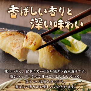 【定期便3回】 銀ダラ 西京漬け 90g×6切 (a30-243)
