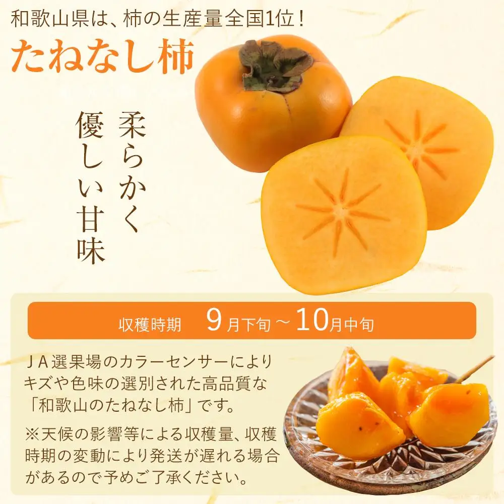 【2026年発送】JAわかやま(紀北地域)のたねなし柿 秀品 約7.5Kg L～4Lサイズ｜柿