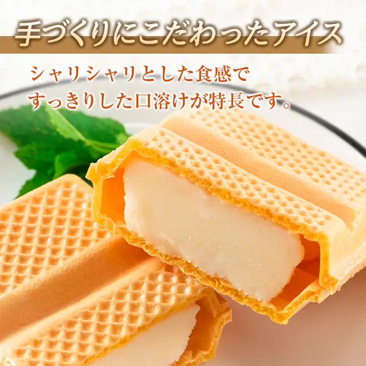 手作り アイス モナカ セット 計16個 食品 加工品 スイーツ お菓子 最中 なかつや 昔ながら ハンドメイド 子供 乳製品 こだわり 氷菓 懐かしい 国産 おやつ デザート ギフト プレゼント 贈り物 お取り寄せ グルメ おすそ分け 宮崎県 日南市 送料無料_BA67-23
