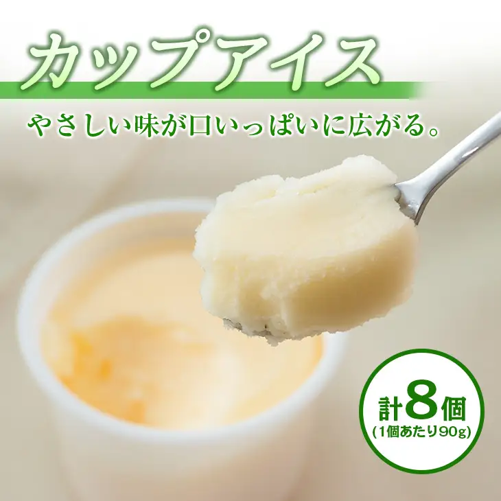 手作り アイス カップ ＆ モナカ セット 合計20個 スイーツ お菓子 食品 加工品 最中 なかつや 国産 おやつ デザート ご褒美 昔ながら 手作り 子供 乳製品 氷菓 詰め合わせ 食べ比べ お取り寄せ グルメ おすそ分け おすすめ 懐かしい 宮崎県 日南市 送料無料_CA34-23